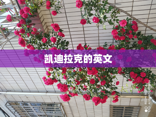 凯迪拉克的英文