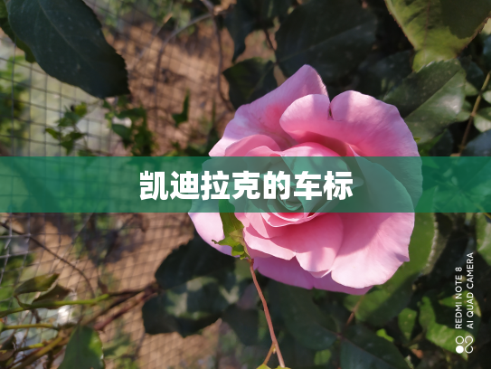 凯迪拉克的车标