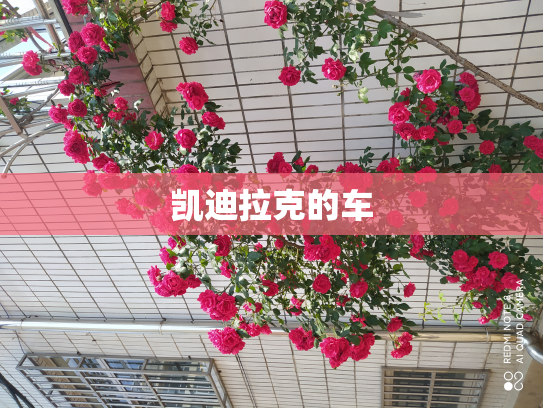 凯迪拉克的车