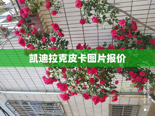 凯迪拉克皮卡图片报价