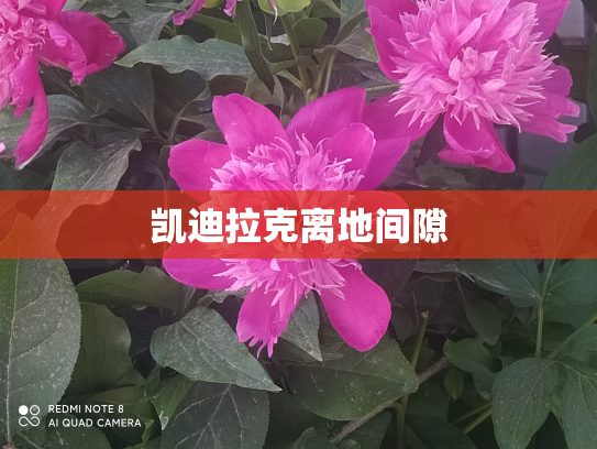 凯迪拉克离地间隙