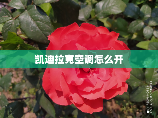凯迪拉克空调怎么开