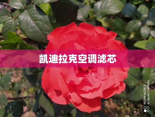 凯迪拉克空调滤芯