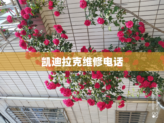 凯迪拉克维修电话