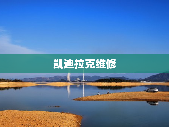凯迪拉克维修