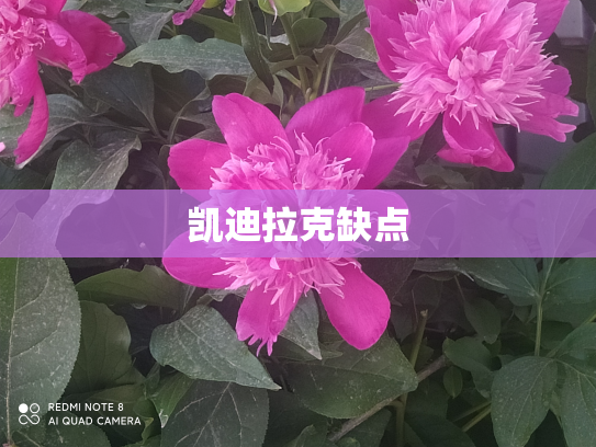 凯迪拉克缺点