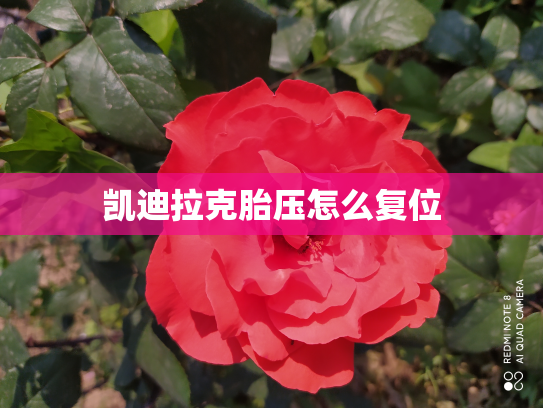 凯迪拉克胎压怎么复位