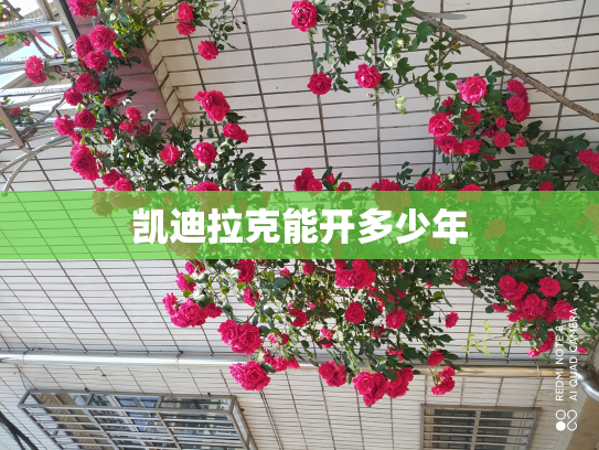 凯迪拉克能开多少年