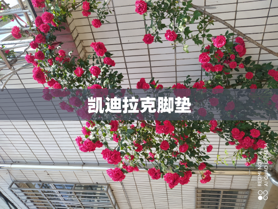 凯迪拉克脚垫