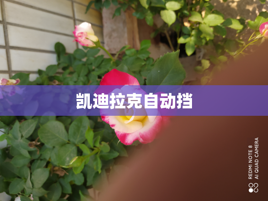 凯迪拉克自动挡
