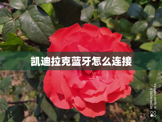 凯迪拉克蓝牙怎么连接