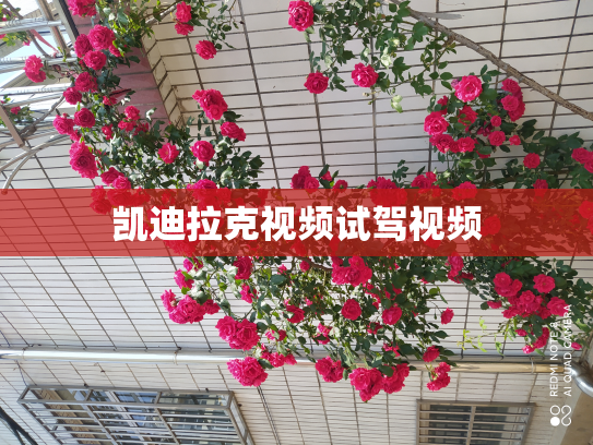 凯迪拉克视频试驾视频