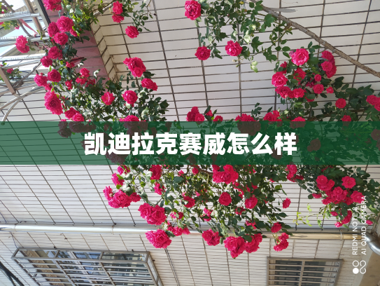 凯迪拉克赛威怎么样