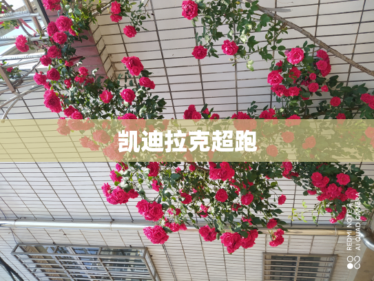 凯迪拉克超跑