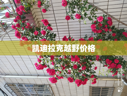 凯迪拉克越野价格