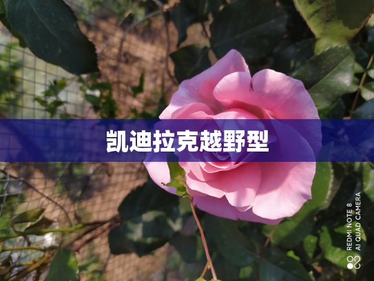 凯迪拉克越野型