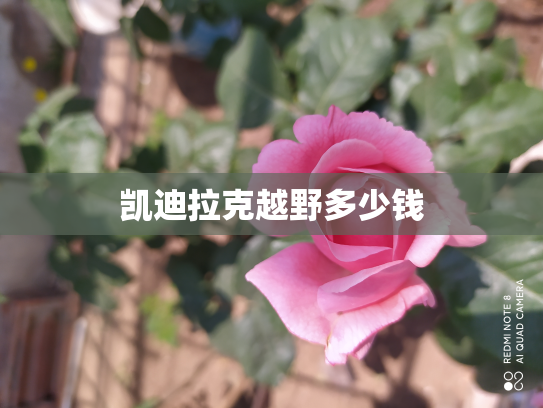 凯迪拉克越野多少钱