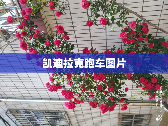 凯迪拉克跑车图片