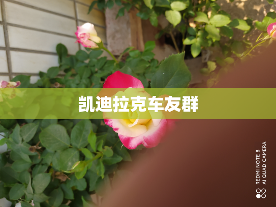 凯迪拉克车友群