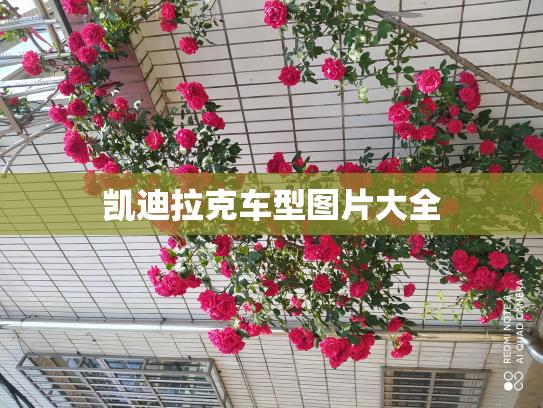 凯迪拉克车型图片大全