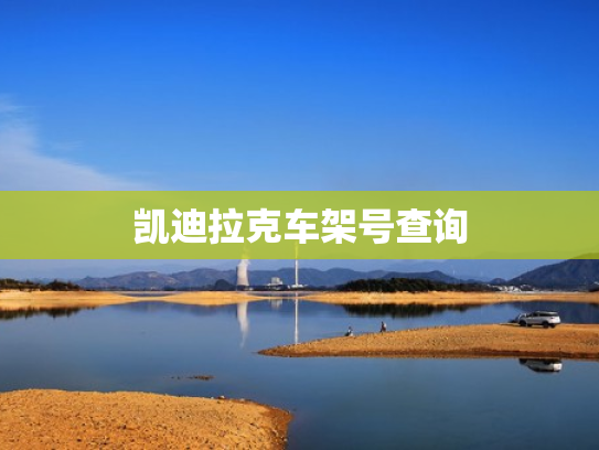 凯迪拉克车架号查询