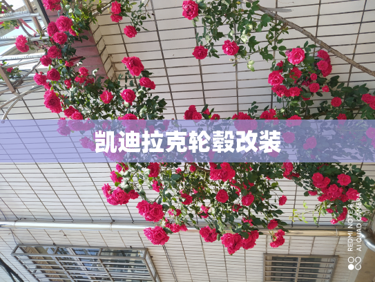 凯迪拉克轮毂改装