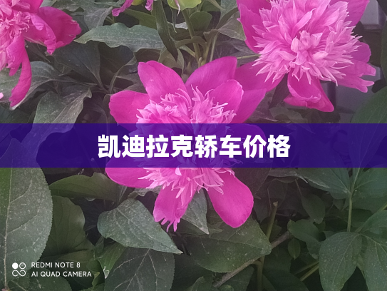 凯迪拉克轿车价格