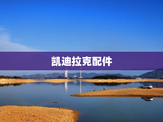 凯迪拉克配件