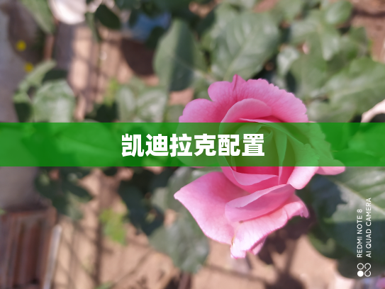凯迪拉克配置