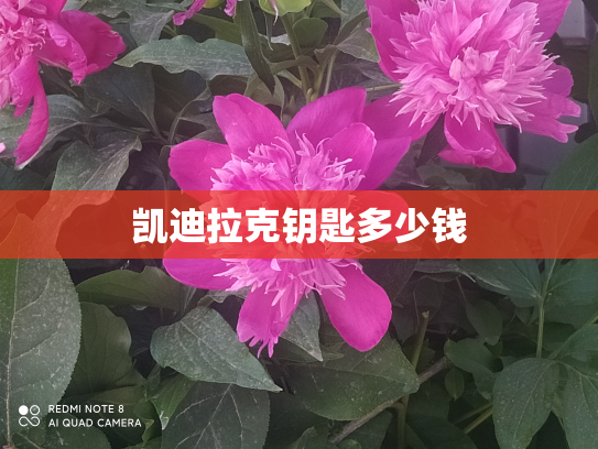 凯迪拉克钥匙多少钱
