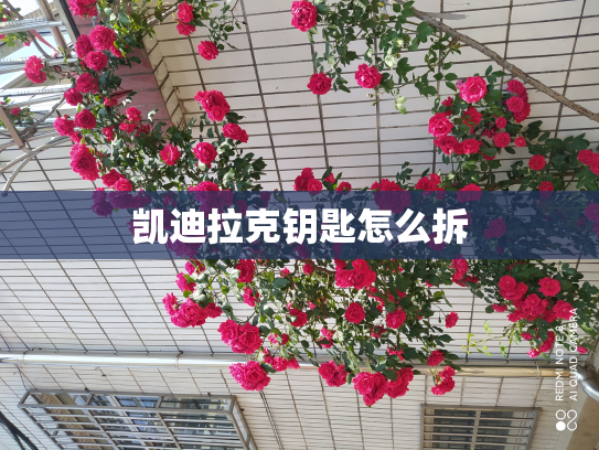 凯迪拉克钥匙怎么拆