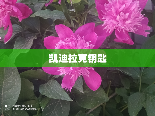 凯迪拉克钥匙