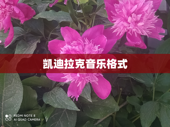 凯迪拉克音乐格式