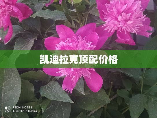 凯迪拉克顶配价格