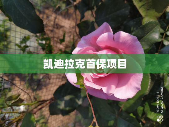 凯迪拉克首保项目