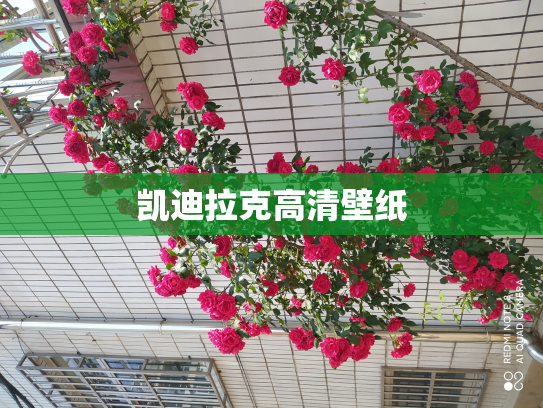 凯迪拉克高清壁纸