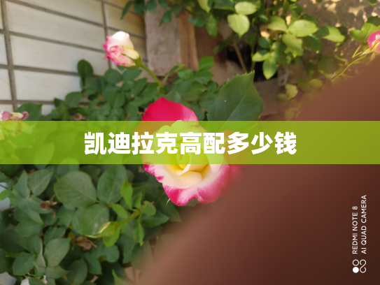 凯迪拉克高配多少钱