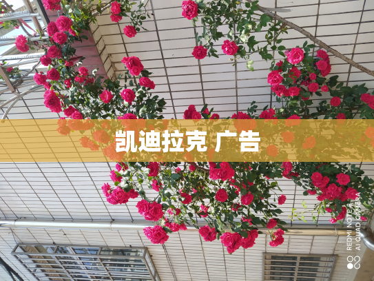 凯迪拉克 广告