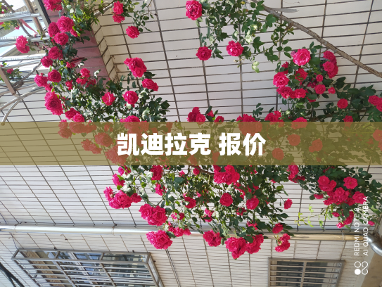凯迪拉克 报价