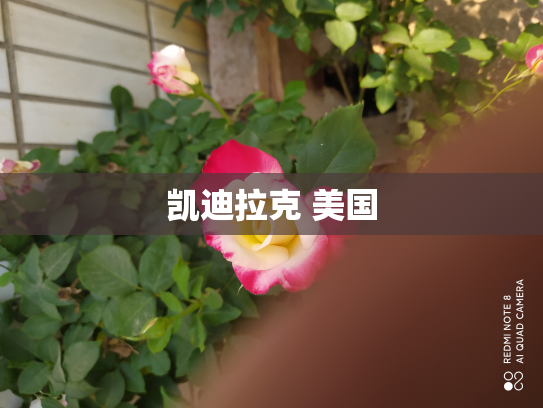 凯迪拉克 美国