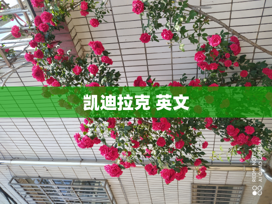 凯迪拉克 英文