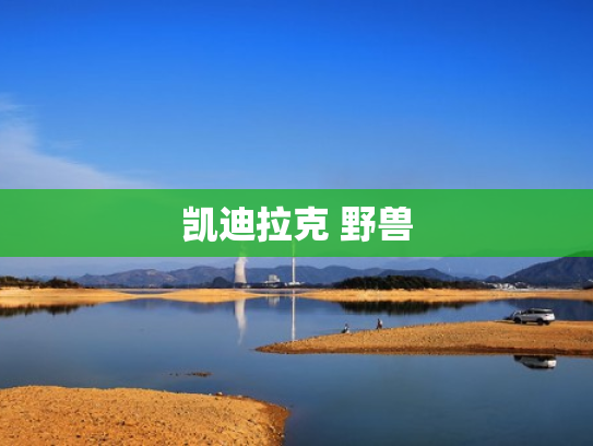 凯迪拉克 野兽