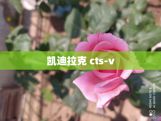 凯迪拉克 cts-v