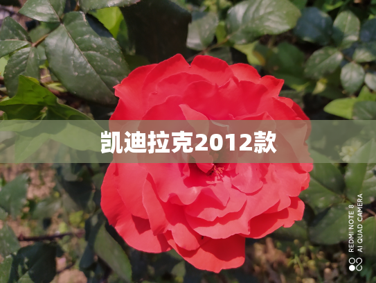 凯迪拉克2012款