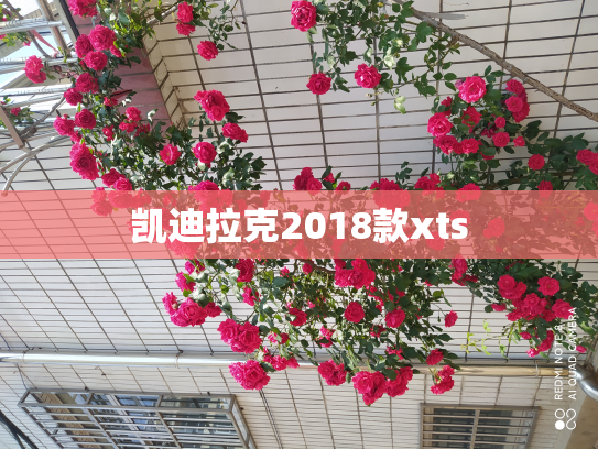 凯迪拉克2018款xts