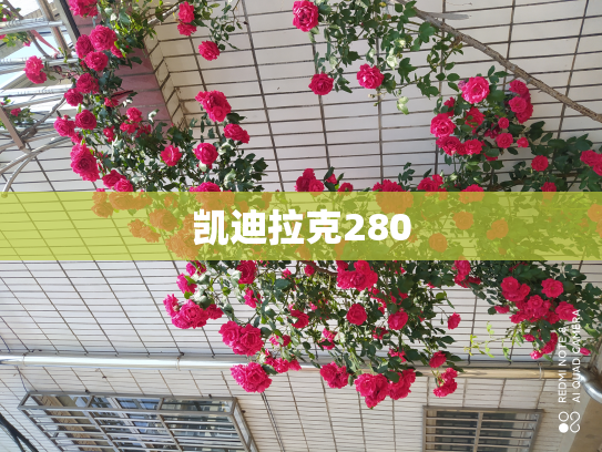 凯迪拉克280