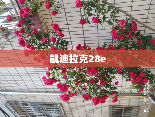 凯迪拉克28e