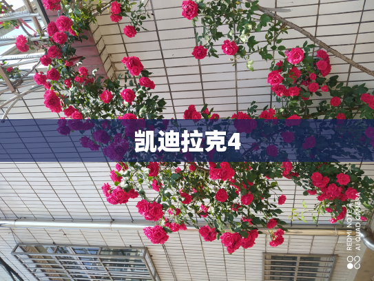 凯迪拉克4