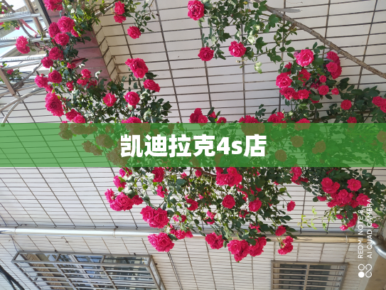 凯迪拉克4s店