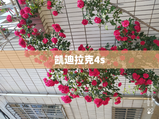 凯迪拉克4s